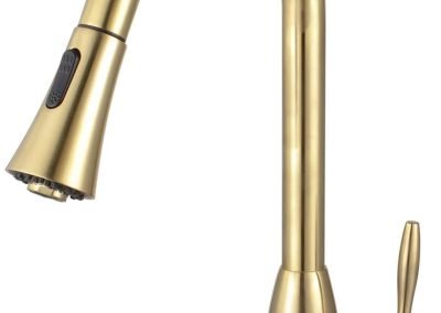 Faucet N88402-BG