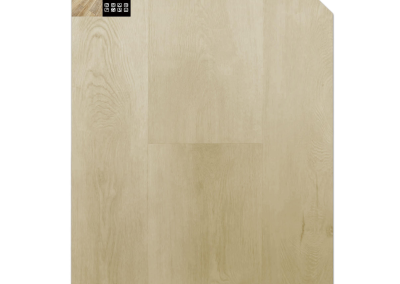 Waterproof Flooring FT8507