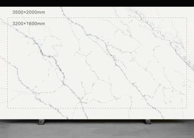 Carolina Cararra Countertop