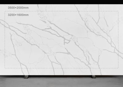 New Calacatta Countertop