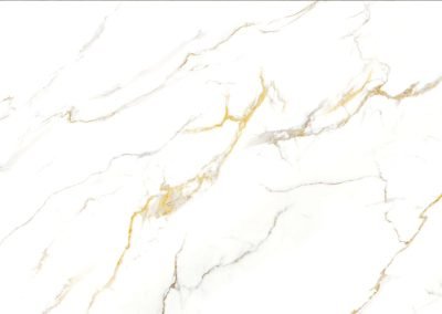 Calacatta Oro Shower Wall