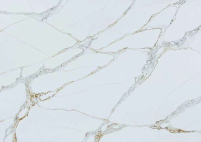 Fantasy Gold Countertop